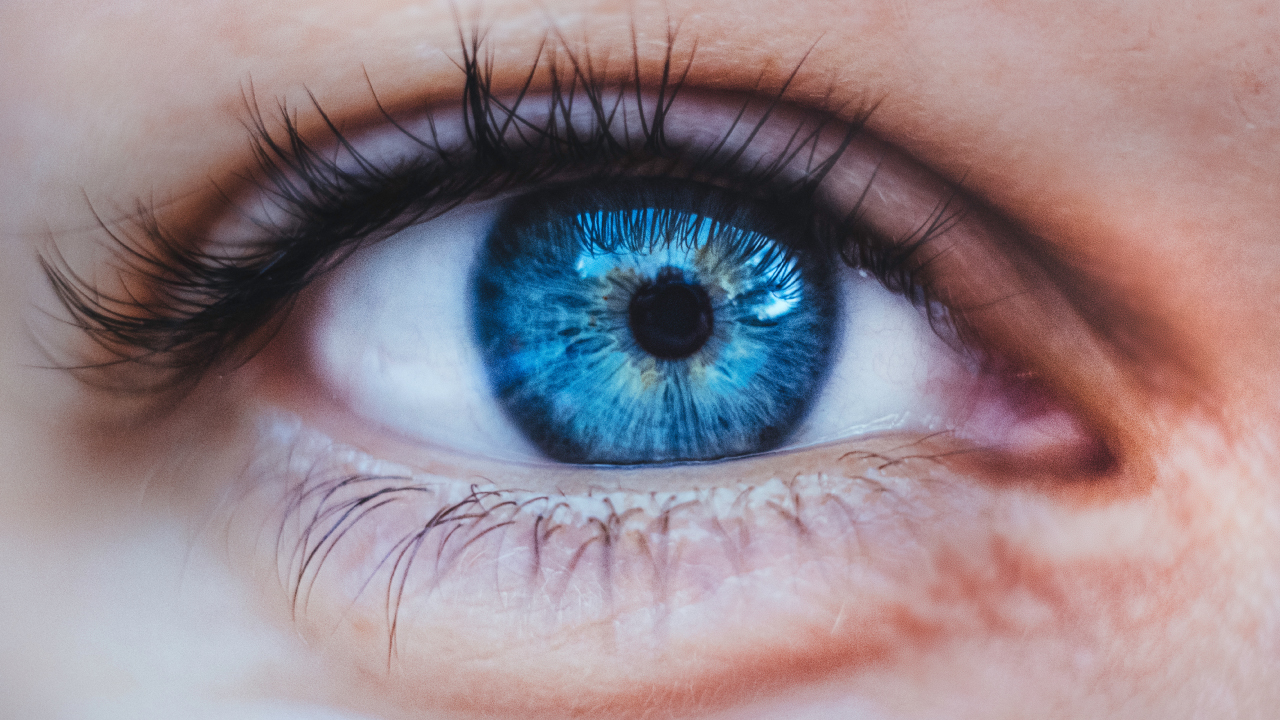 2024 american academy of optometry annual meeting optometric management
